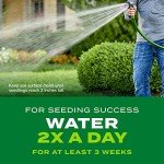 Scotts Turf Builder Rapid Grass Tall Fescue Mix, Combination Seed and Fertilizer, Grows Green Grass in Just Weeks, 5.6 lbs.