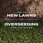 Scotts Turf Builder Rapid Grass Tall Fescue Mix, Combination Seed and Fertilizer, Grows Green Grass in Just Weeks, 5.6 lbs.