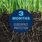 BioAdvanced Complete Brand Insect Killer for Soil and Turf, Ready-to-Spray, 32 oz, Outdoor Ant Killer