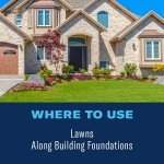 BioAdvanced Complete Brand Insect Killer for Soil and Turf, Ready-to-Spray, 32 oz, Outdoor Ant Killer