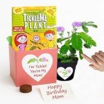 Mother's Day/Birthday TickleMe Plant Gift Box Set - to Grow The Plant That Closes its Leaves When You Tickle it or Blow it a Kiss! It Even Grows Pink Flowers! I'm Tickled You're My Mom!