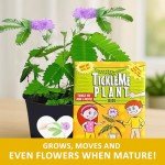 Mother's Day/Birthday TickleMe Plant Gift Box Set - to Grow The Plant That Closes its Leaves When You Tickle it or Blow it a Kiss! It Even Grows Pink Flowers! I'm Tickled You're My Mom!