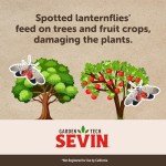 Sevin Insect Killer Concentrate 32 oz