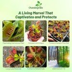 Outsidepride Venus Flytrap Seeds - 10 Pcs Perennial, Unique & Carnivorous, Indoor Plant Seeds for House Plants, Easy to Grow & Low Maintenance, Ideal for Terrariums, Pots, & Non-Winter Hardy Zones