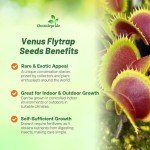 Outsidepride Venus Flytrap Seeds - 10 Pcs Perennial, Unique & Carnivorous, Indoor Plant Seeds for House Plants, Easy to Grow & Low Maintenance, Ideal for Terrariums, Pots, & Non-Winter Hardy Zones