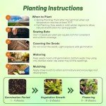 Outsidepride Venus Flytrap Seeds - 10 Pcs Perennial, Unique & Carnivorous, Indoor Plant Seeds for House Plants, Easy to Grow & Low Maintenance, Ideal for Terrariums, Pots, & Non-Winter Hardy Zones