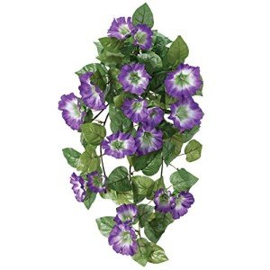OakRidge Petunia Hanging Stem OutdoorTM