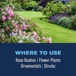 BioAdvanced 3-in-1 Insect, Disease & Plant Mite Control, Ready-to-Use, 24 FOZ