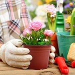 Delxo 50Pcs 6" Reusable Plastic Nursery Pots, Waterproof Planter Pots with Drain Holes, Indoor Seedling Starter Pots for Plants, Gardening, Red