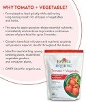 Burpee Organic Tomato & Vegetable Granular Plant Food, 4 lb
