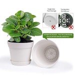 homenote Pots for Plants, 15 Pack 6 Inch Plastic Planters with Multiple Drainage Holes and Trays,Plant Pots for All Home Garden Flowers Succulents (White)