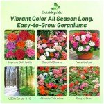 Outsidepride Mix Geranium Seeds for Planting - 100 Pcs Annual, Heat & Drought Tolerant Flower Seeds with Green Foliage & Mix Blooms for Pots, Borders & Lush Summer Garden Displays