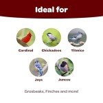 Kaytee Songbird Wild Bird Seed, 7 lb