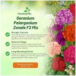 Outsidepride Mix Geranium Seeds for Planting - 100 Pcs Annual, Heat & Drought Tolerant Flower Seeds with Green Foliage & Mix Blooms for Pots, Borders & Lush Summer Garden Displays