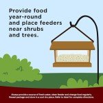 Kaytee Songbird Wild Bird Seed, 7 lb