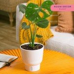 Costa Farms Live Plant, Thai Constellation Monstera House Plant, Self-Watering Plant Pot, Trending Tropicals Collection for Home and Room Decor, 16-Inches Tall