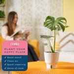 Costa Farms Live Plant, Thai Constellation Monstera House Plant, Self-Watering Plant Pot, Trending Tropicals Collection for Home and Room Decor, 16-Inches Tall