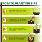 Jorvila 5 Pack 5 Gallon Thickened Grow Bags, Aeration Nonwoven Fabric Plant Pots with Durable Handles, Heavy Duty 300G Planter Pot for Tomato, Potato and Vegetable