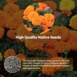 Groundio Marigold Seeds for Planting Outdoor, 1 OZ, Crackerjack Mix Flower Seeds Attract Pollinators, 2 Colors (Yellow, Orange), Grown in The USA