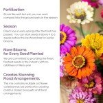 Groundio Zinnia Seeds Mix, 1 Oz, Over 3,000 Flowers Seeds, 5 Varieties (Pink, Yellow, Orange, White, Purple), Mixed Colors and Large Blooms,Open Pollinated - Bulk