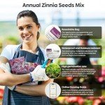 Groundio Zinnia Seeds Mix, 1 Oz, Over 3,000 Flowers Seeds, 5 Varieties (Pink, Yellow, Orange, White, Purple), Mixed Colors and Large Blooms,Open Pollinated - Bulk