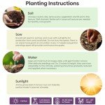 Groundio Zinnia Seeds Mix, 1 Oz, Over 3,000 Flowers Seeds, 5 Varieties (Pink, Yellow, Orange, White, Purple), Mixed Colors and Large Blooms,Open Pollinated - Bulk