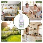 VermExon Peppermint Oil Insect & Pest Control Spray – 16oz Natural Plant-Based Bug Killer for Spiders, Ants, Flies, and Other Insects, Safe for Home & Kitchen Use