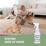 VermExon Peppermint Oil Insect & Pest Control Spray – 16oz Natural Plant-Based Bug Killer for Spiders, Ants, Flies, and Other Insects, Safe for Home & Kitchen Use