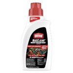 Ortho BugClear Insect Killer for Lawns & Landscapes Concentrate - Kills Periodical Cicadas, Mosquitoes, Ants, Spiders, Fleas, Ticks & More, Outdoor Bug Spray with Long Lasting Control, 32 oz.