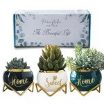 Housewarming Gifts: Best Home Essentials for New House - Farmhouse Living Room Decor | 3 Succulent Pots for Plant Lovers