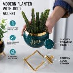 Housewarming Gifts: Best Home Essentials for New House - Farmhouse Living Room Decor | 3 Succulent Pots for Plant Lovers