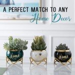 Housewarming Gifts: Best Home Essentials for New House - Farmhouse Living Room Decor | 3 Succulent Pots for Plant Lovers