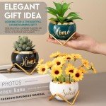 Housewarming Gifts: Best Home Essentials for New House - Farmhouse Living Room Decor | 3 Succulent Pots for Plant Lovers
