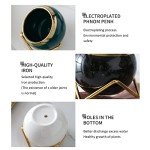 Housewarming Gifts: Best Home Essentials for New House - Farmhouse Living Room Decor | 3 Succulent Pots for Plant Lovers