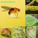 LFSYS 64 Pcs Sticky Trapz for gnat, Yellow Stick Traps for Plants, Fungus gnat Traps Double Side with Shovel, Indoor Safe for Gnat, Fruit Fly, White Fly, Aphid, Leaf Miner