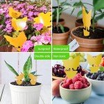LFSYS 64 Pcs Sticky Trapz for gnat, Yellow Stick Traps for Plants, Fungus gnat Traps Double Side with Shovel, Indoor Safe for Gnat, Fruit Fly, White Fly, Aphid, Leaf Miner