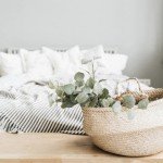 Park Seed Grow Your Own Eucalyptus Seeds Plant, Perfect for Indoor Growing and Spring Garden, Silver Dollar, Pack of 50