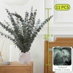 11 PCS Real Dried Eucalyptus Stem for Shower & Bathroom Decor - 17'' Large Natural Fresh Eucalyptus Leaves Hanging Plants, Shower Stuff Green Home Vase Decor, DIY