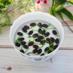 12pcs Mixed Pink, Red & Green Color Bowl Lotus Seeds for Planting Beautiful Water Plants for Indoor Bonsai, Outdoor Ponds
