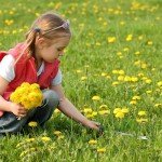 WORKPRO 11.5" Dandelion Weeder Puller Tool with Soft Handle, Polished Stainless Steel Garden Weed Remover Tool, Two-Pronged Fork Weeder Tool for Lawn Farmland Transplant Gardening Plant Tool