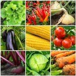 The Old Farmer's Almanac Organic Tomato & Vegetable Plant Food Fertilizer