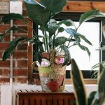 Midogaigai Abstract Face Planters Pots Head,Unique Head Planter for Indoor Plants,Funny Face Flower Pot,Colorful Plant Pots for Outdoor Garden Decor and Home Art Decoration(Classic)