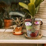Midogaigai Abstract Face Planters Pots Head,Unique Head Planter for Indoor Plants,Funny Face Flower Pot,Colorful Plant Pots for Outdoor Garden Decor and Home Art Decoration(Classic)