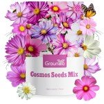 Groundio Cosmos Seeds Wildflower Mix, 1 Oz, 3,000+ Seeds, 4 Varieties Flowers Seeds for Planting (Radiance, Purity, Pinkie, Picotee), Open Pollinated Bulk
