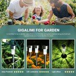 GIGALUMI Solar Lights Outdoor Waterproof,16 Pack Stainless Steel LED Solar Garden Lights for Patio, Lawn, Yard and Landscape(Cold White)