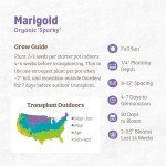 Seed Packet - Marigold 'Sparky' 420mg