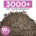 Groundio Cosmos Seeds Wildflower Mix, 1 Oz, 3,000+ Seeds, 4 Varieties Flowers Seeds for Planting (Radiance, Purity, Pinkie, Picotee), Open Pollinated Bulk