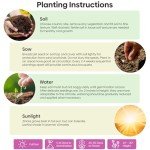 Groundio Cosmos Seeds Wildflower Mix, 1 Oz, 3,000+ Seeds, 4 Varieties Flowers Seeds for Planting (Radiance, Purity, Pinkie, Picotee), Open Pollinated Bulk