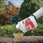 Bonide Captain Jack's Deadbug Brew, 16 oz Concentrate Outdoor Insecticide and Mite Killer for Organic Gardening