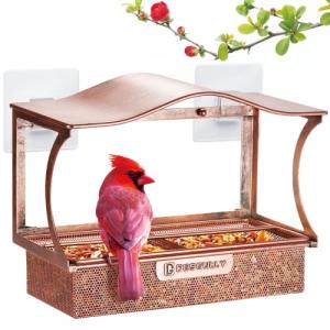 Window Bird Feeder, Metal - with Strong Suction Cups, Large Outdoor for Viewing Bird Watching Gift (Curved)